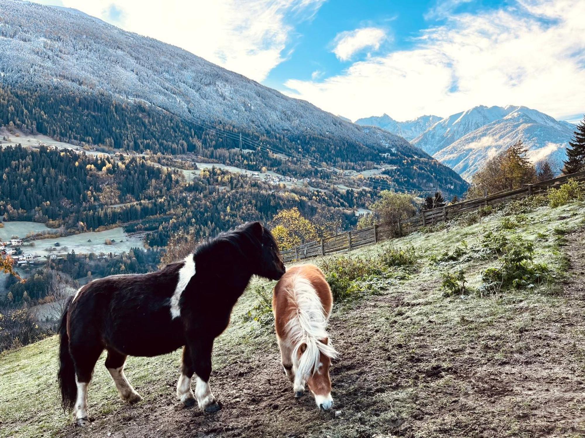 Apart Alpenzeit ارزل ام بيتزتال المظهر الخارجي الصورة