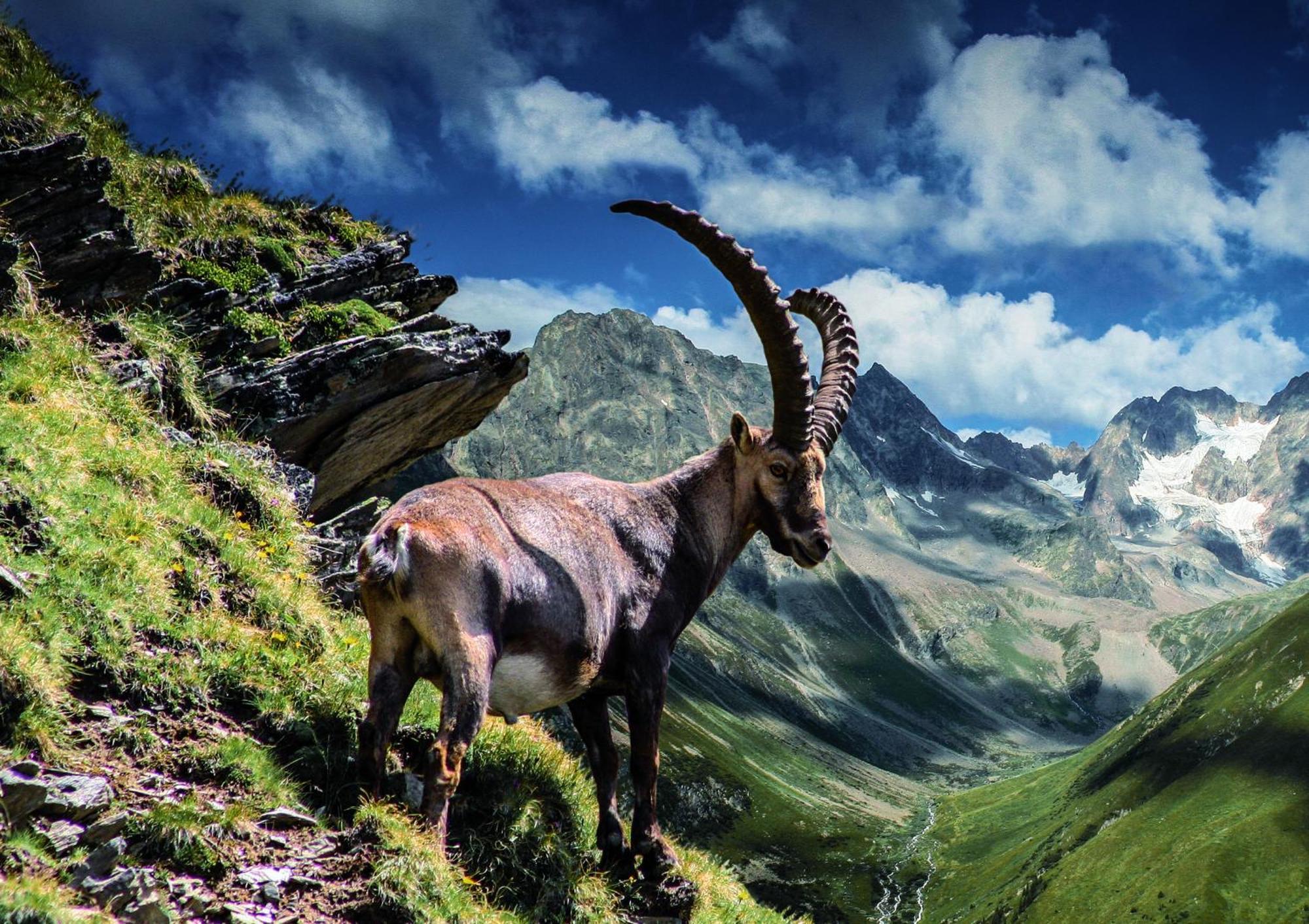 Apart Alpenzeit ارزل ام بيتزتال المظهر الخارجي الصورة