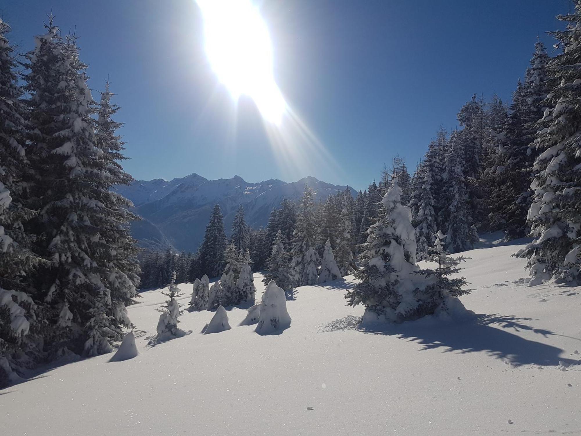 Apart Alpenzeit ارزل ام بيتزتال المظهر الخارجي الصورة